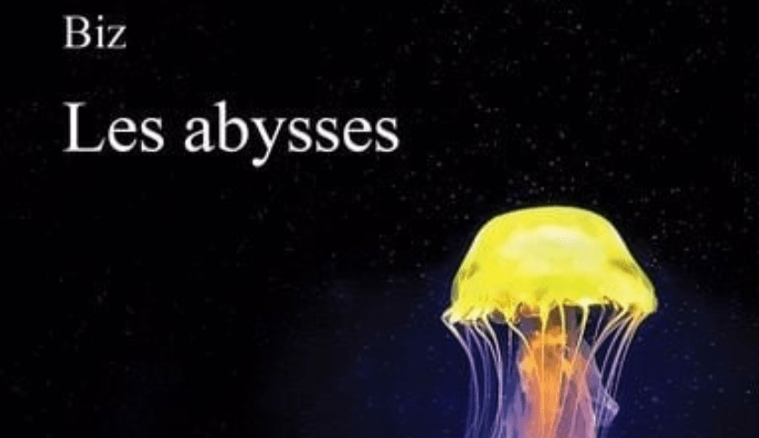 Descendre dans Les Abysses de Biz (encore)